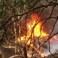 1440b00e26ab489d8789625aabd05ae2jpg16020981255f7e13cd31ac2