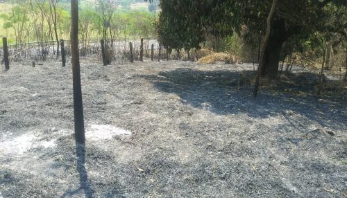 Defesa Civil alerta para riscos de incêndios criminosos