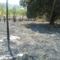 Cde59d6c9ddf44b9a66d787e6b922991jpg16020981255f7e13cd8442c