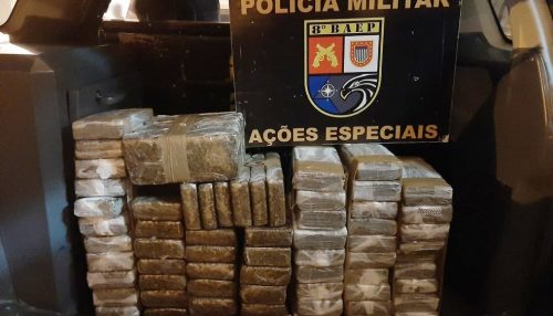 Contratado para transportar droga de Araçatuba a Presidente Prudente, traficante acaba preso com mais de 53kg de maconha