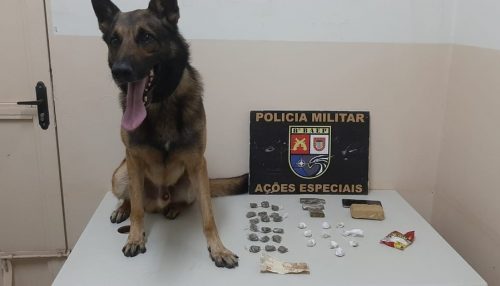 Homem tenta se livrar de sacola com drogas durante fuga, mas entorpecente é farejado por cão da PM