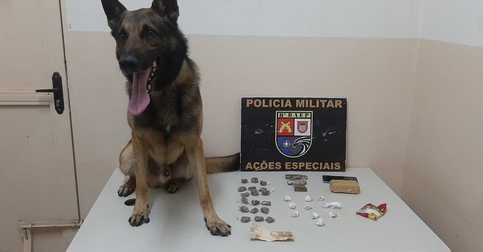 Homem tenta se livrar de sacola com drogas durante fuga, mas entorpecente é farejado por cão da PM