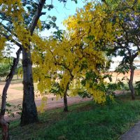 0ad4e5ae 7922 4a7d Abb4 292cb07da3b7