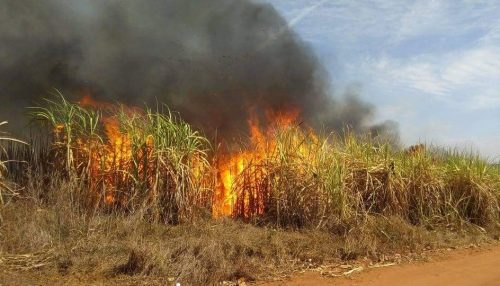 Fogo em canavial causa interrupção de energia na região