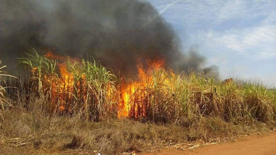 Fogo em canavial causa interrupção de energia na região
