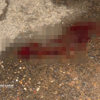 126298130_3600584939989224_4542128897569912454_n