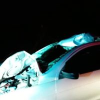 128364444_785057022073740_5654765666765175177_n