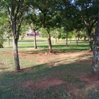 1db851d0 18d7 4ec3 B5bd 00e76a1a3f9f