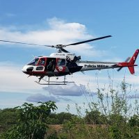 2aac50f2 A4a4 4609 A219 C73fc8df316d