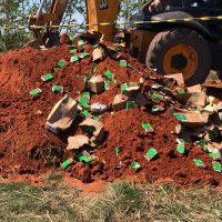 655fae39 Db4e 4ca9 9a02 7b2d6afaa7d5