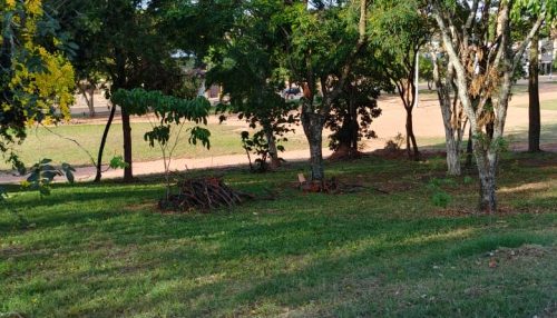 O valor de uma escolha - Cap. 17