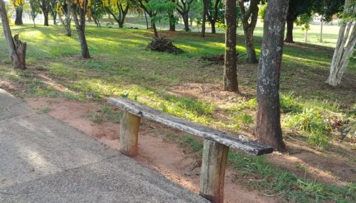 Um olhar sobre o outro lado...