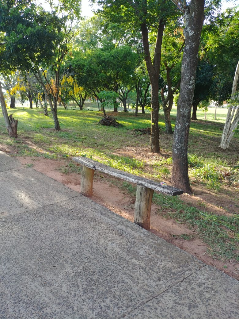 Um olhar sobre o outro lado...