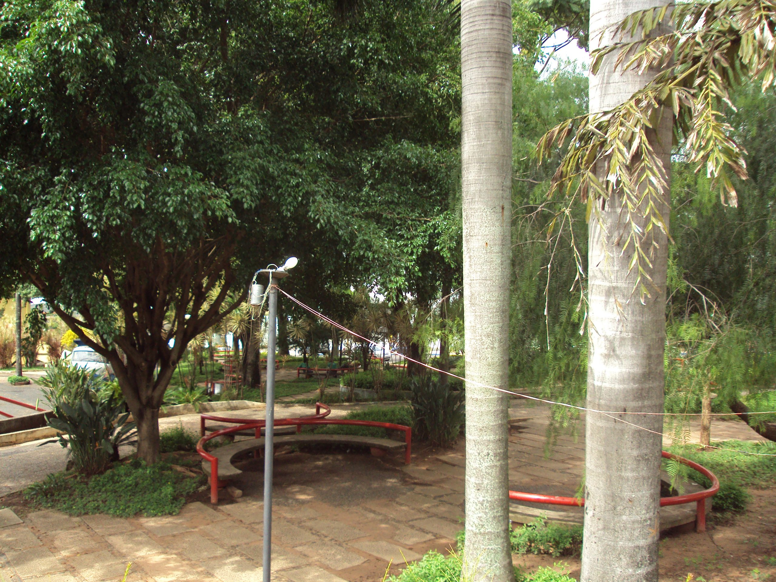 Província , eleições e senso comum...