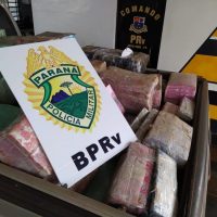 WhatsApp Image 2020 11 11 At 14.23.53 1068x801