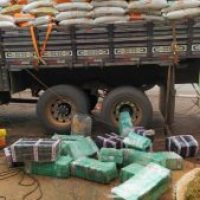 WhatsApp Image 2020 11 11 At 14.23.55 1 169x300