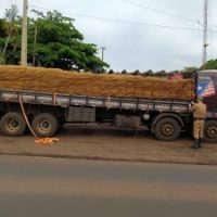 WhatsApp Image 2020 11 11 At 14.23.55 2 300x225