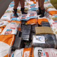 WhatsApp Image 2020 11 11 At 14.23.55 285x300