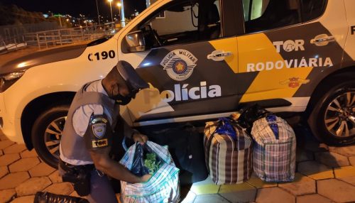 Dupla é presa com 30 quilos de folhas de coca em Presidente Epitácio