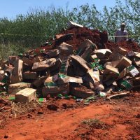 E2264a71 17b5 4ed6 8965 F0fca4a159e5