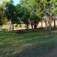 Ec6553e0 4536 42ef B700 838ba4134494