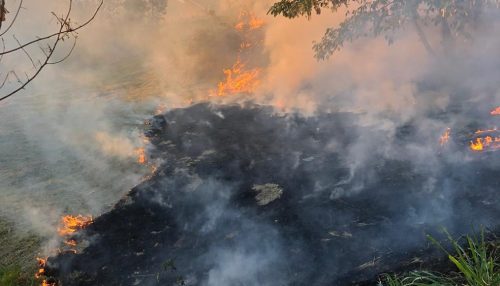 Incêndio em vegetação provoca transtornos a moradores de Presidente Prudente