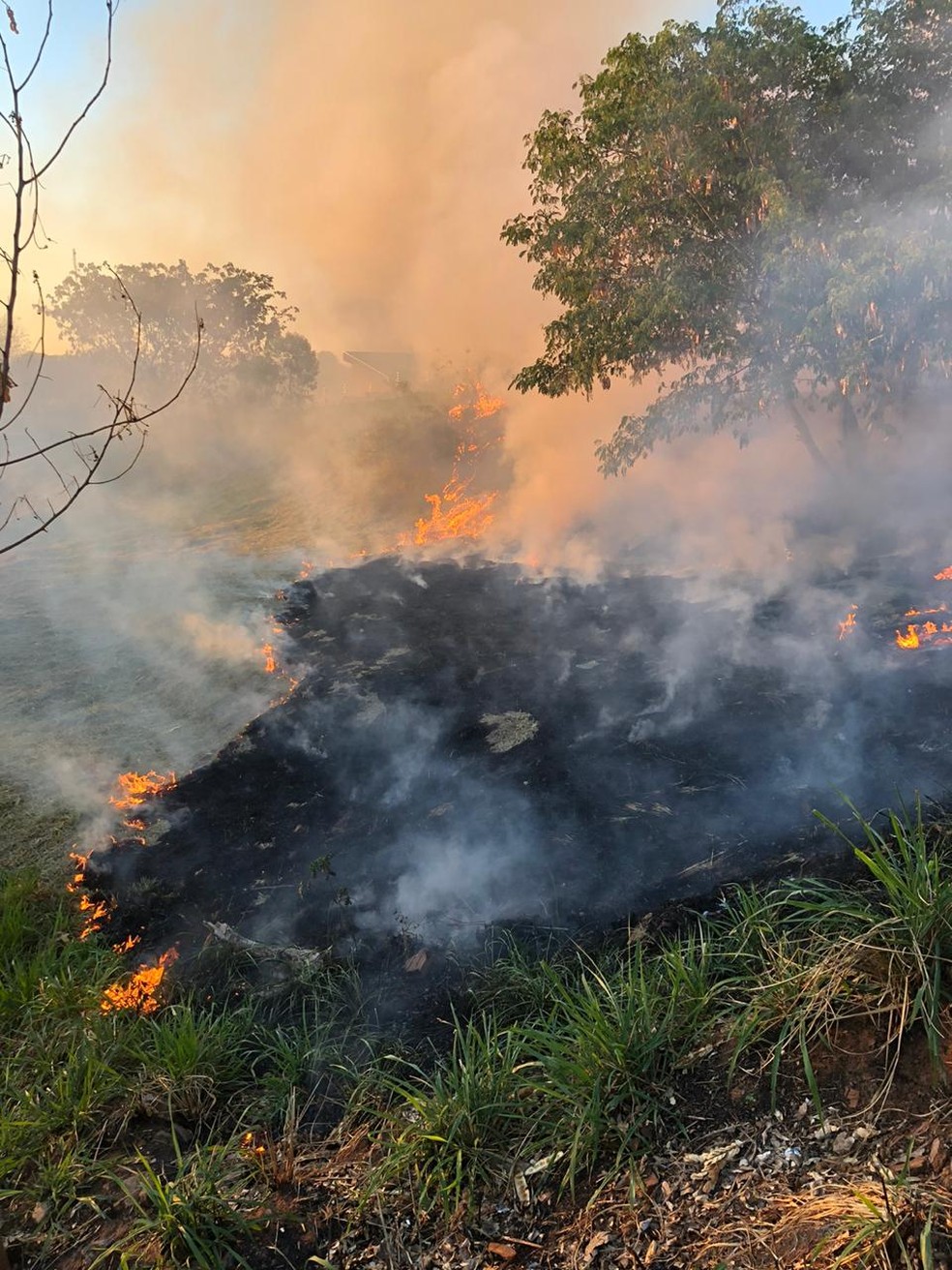Incêndio em vegetação provoca transtornos a moradores de Presidente Prudente