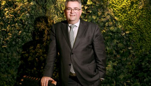 Com estratégia de sustentabilidade, Sicredi neutraliza 35 mil toneladas de gases de efeito estufa