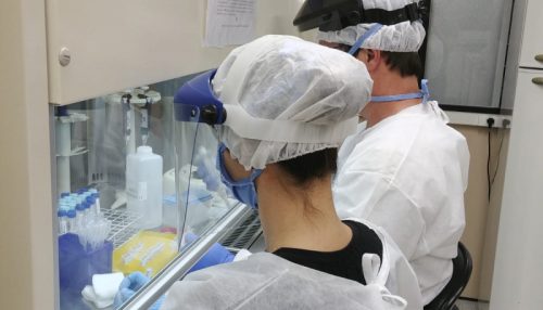 Estudo revela que Coronavac produz anticorpos contra a Covid em 97% dos participantes