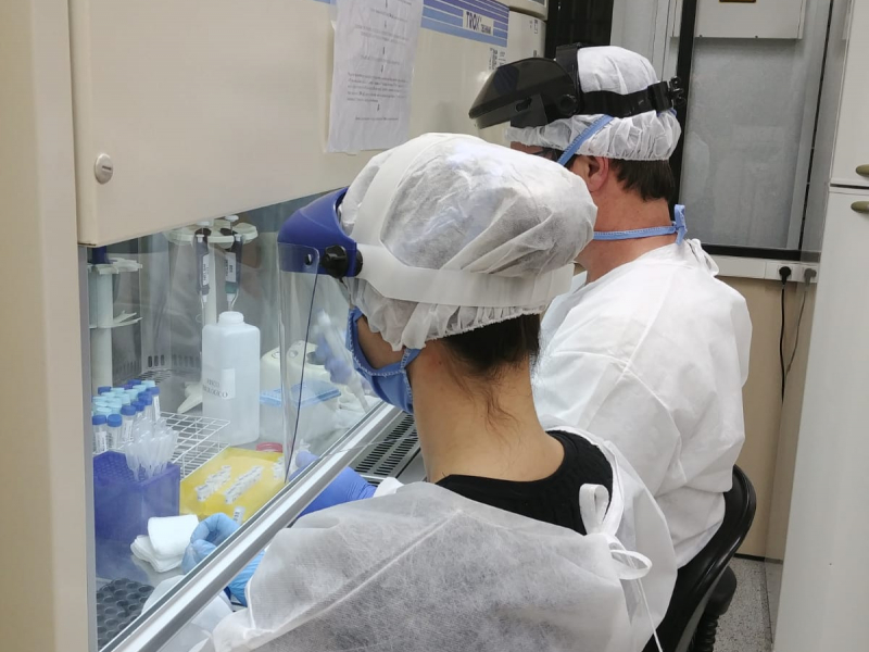 Estudo revela que Coronavac produz anticorpos contra a Covid em 97% dos participantes