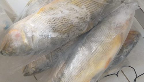 Peixaria recebe mais de R$ 3 mil em multas por irregularidades com pescados em Presidente Prudente