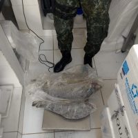 Whatsapp Image 2020 11 05 At 17.27.50