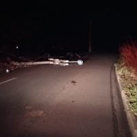 Whatsapp Image 2020 11 11 At 06.25.33