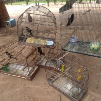 Whatsapp Image 2020 11 11 At 21.06.46