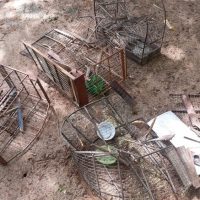 Whatsapp Image 2020 11 11 At 21.06.47