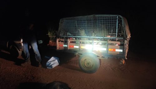 Homens são flagrados com nove cachorros usados para caça e um animal silvestre abatido