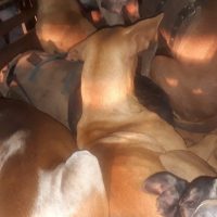 Whatsapp Image 2020 11 12 At 06.12.40