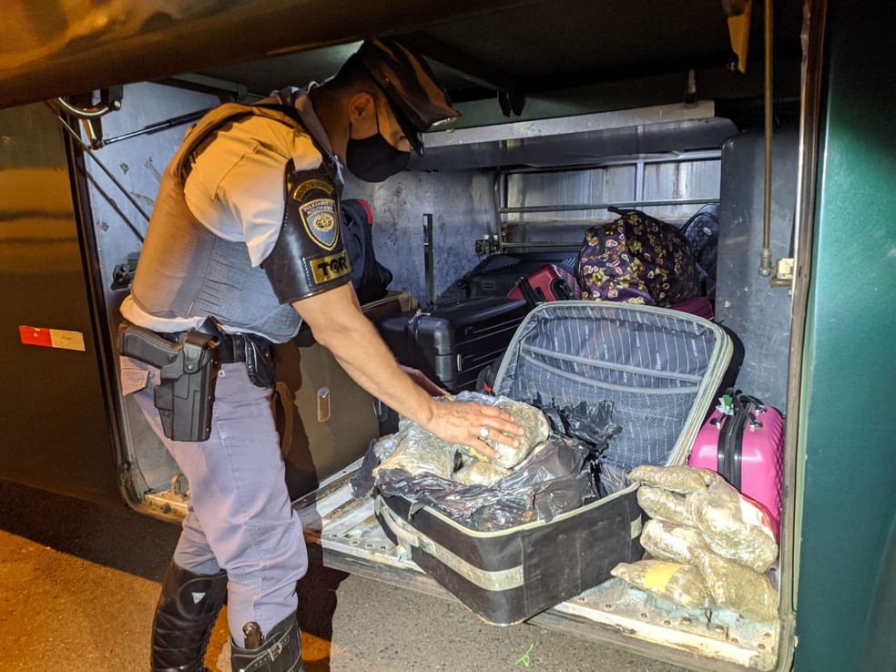 Jovem é presa após ser flagrada com 11 kg de skank escondidos em mala no bagageiro de ônibus na SP-270