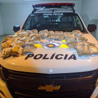 Whatsapp Image 2020 11 12 At 07.32.50