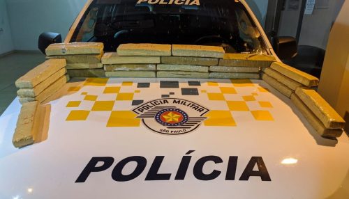 Passageira de ônibus é detida com quase 17 kg de maconha, em Presidente Epitácio