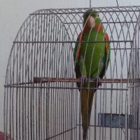 Whatsapp Image 2020 11 16 At 18.03.02 1