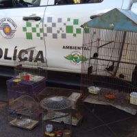 Whatsapp Image 2020 11 16 At 18.03.03 1