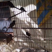 Whatsapp Image 2020 11 16 At 18.03.03