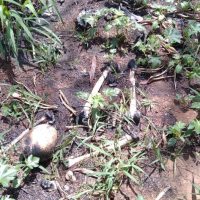 Whatsapp Image 2020 11 21 At 16.05.26 1