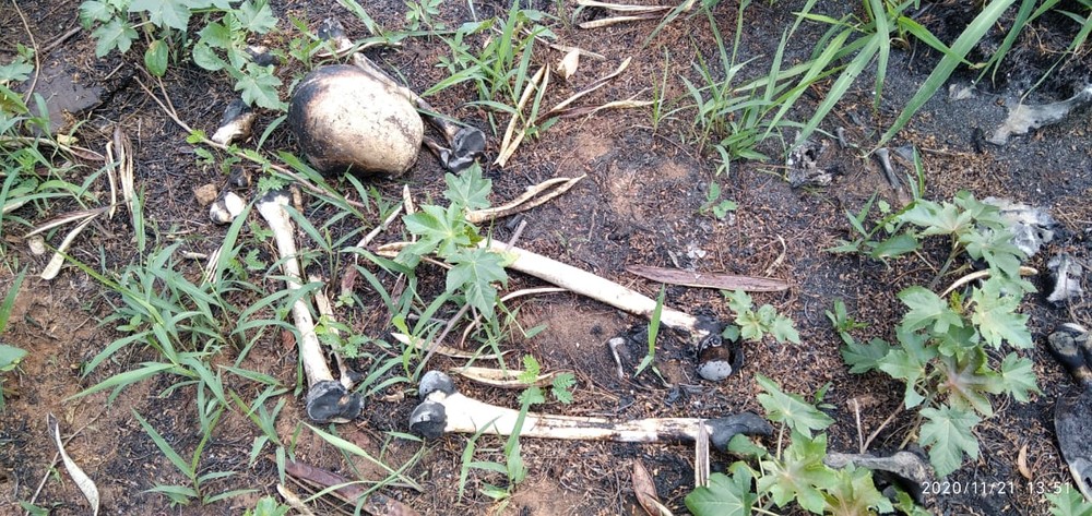 Ossada humana é encontrada em área às margens da Rodovia Júlio Budiski em Presidente Prudente