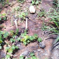 Whatsapp Image 2020 11 21 At 16.05.27 2