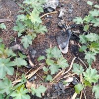 Whatsapp Image 2020 11 21 At 16.05.27