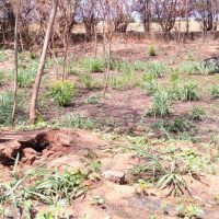 Whatsapp Image 2020 11 21 At 16.05.28