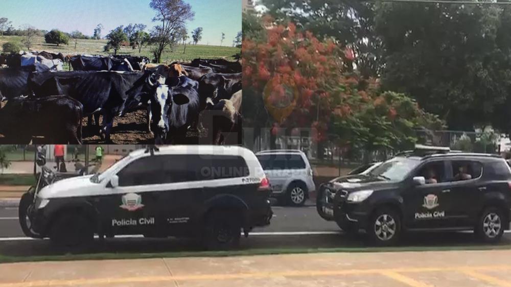 Dois suspeitos de integrar quadrilha que furtou cabeças de gado em Tupã e região são presos pela Polícia