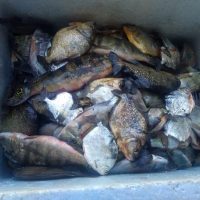 130465164_730825127528631_707761876983309484_o